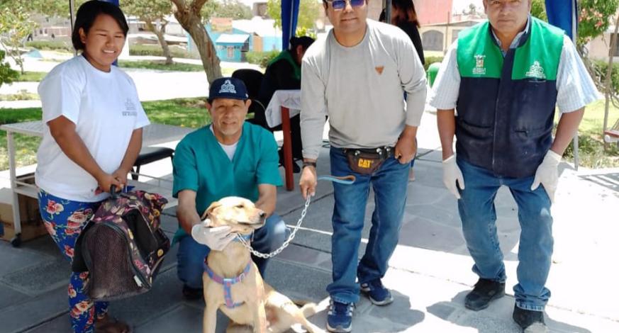 En la Plaza Cívica de Los Ángeles desde las 8 de la mañana, vecinos del sector llevaron a sus mascotas para múltiples servicios gratuitos de vacunación antirrábica, dosificación interna y externa, inscripción de tu mascota, preselección de mascotas a esterilizar y más beneficios que buscan prevenir el aumento de enfermedades zoonóticas en la ciudad.