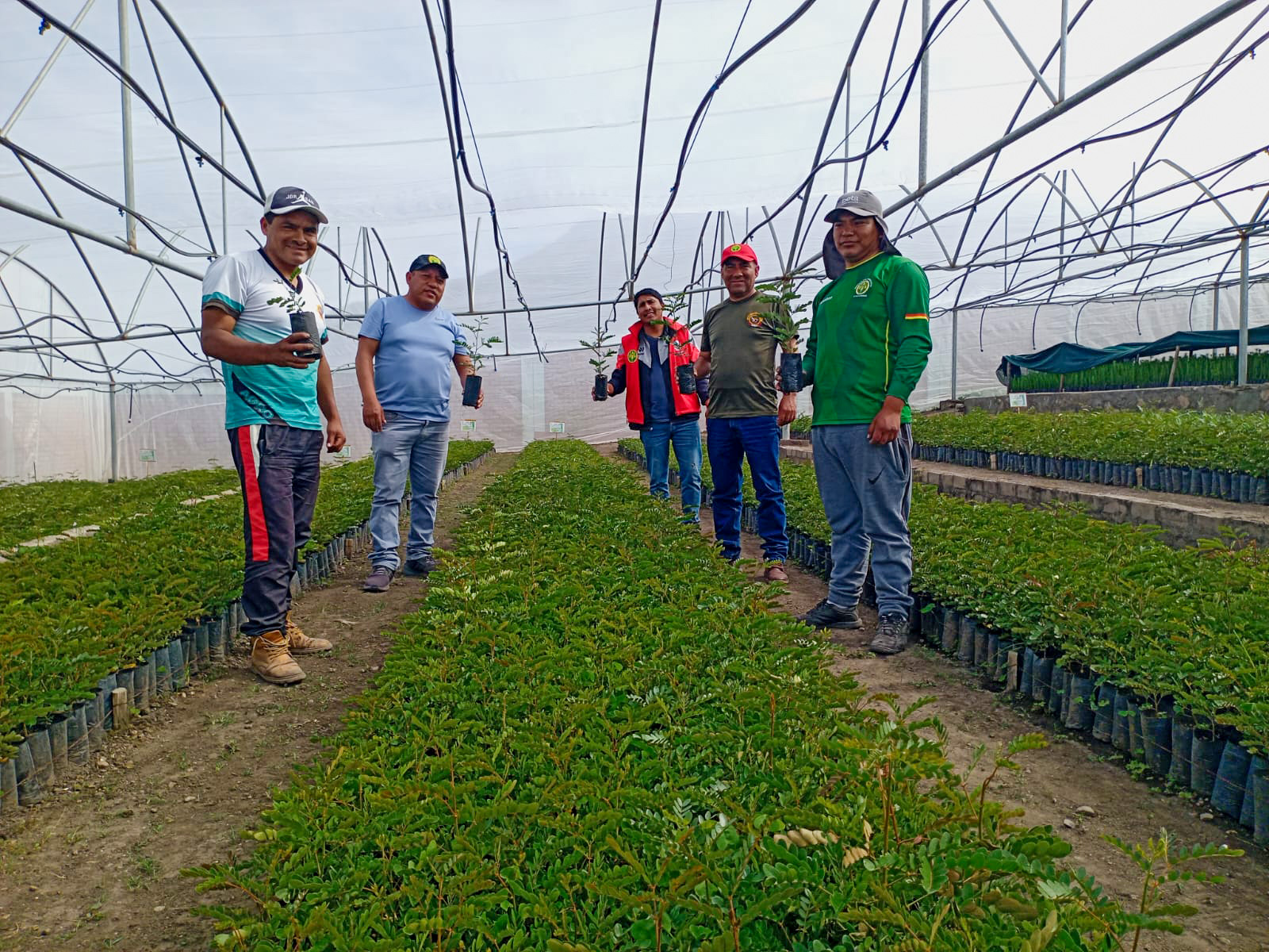 Proyecto Forestal Fajardo entrega más de 7 mil plantones forestales