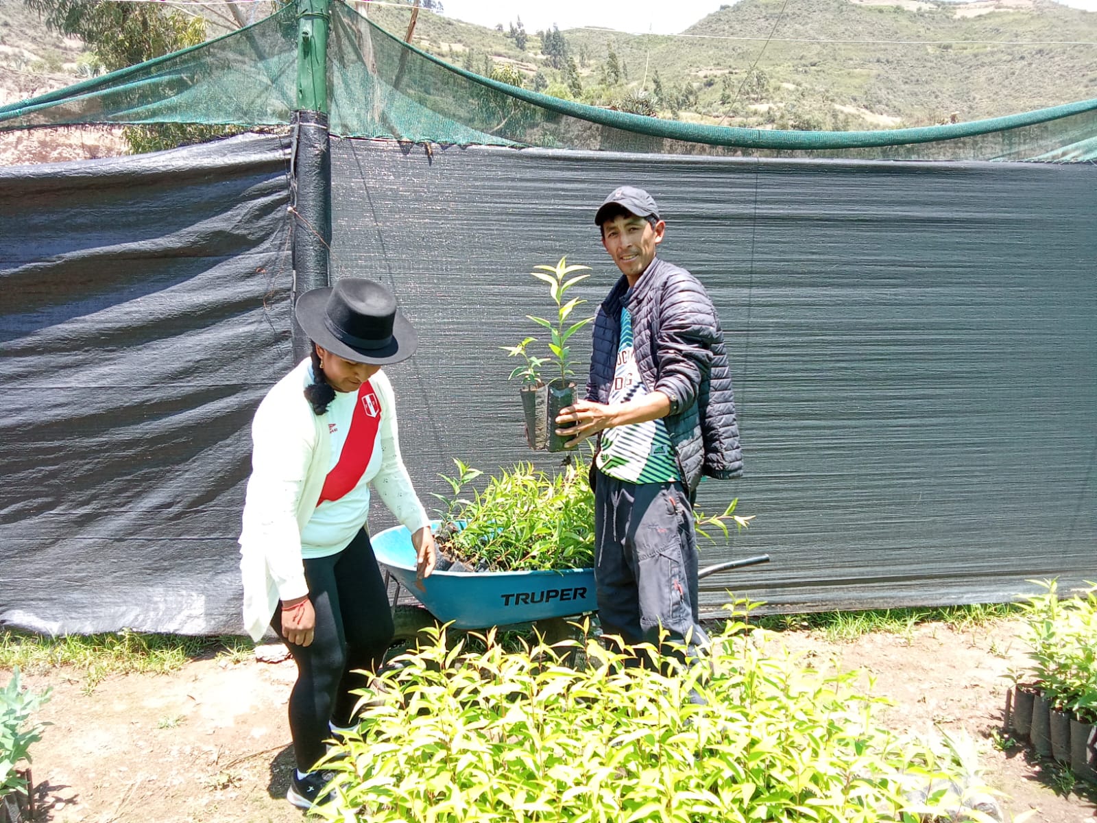 Proyecto Forestal Fajardo entrega más de 7 mil plantones forestales