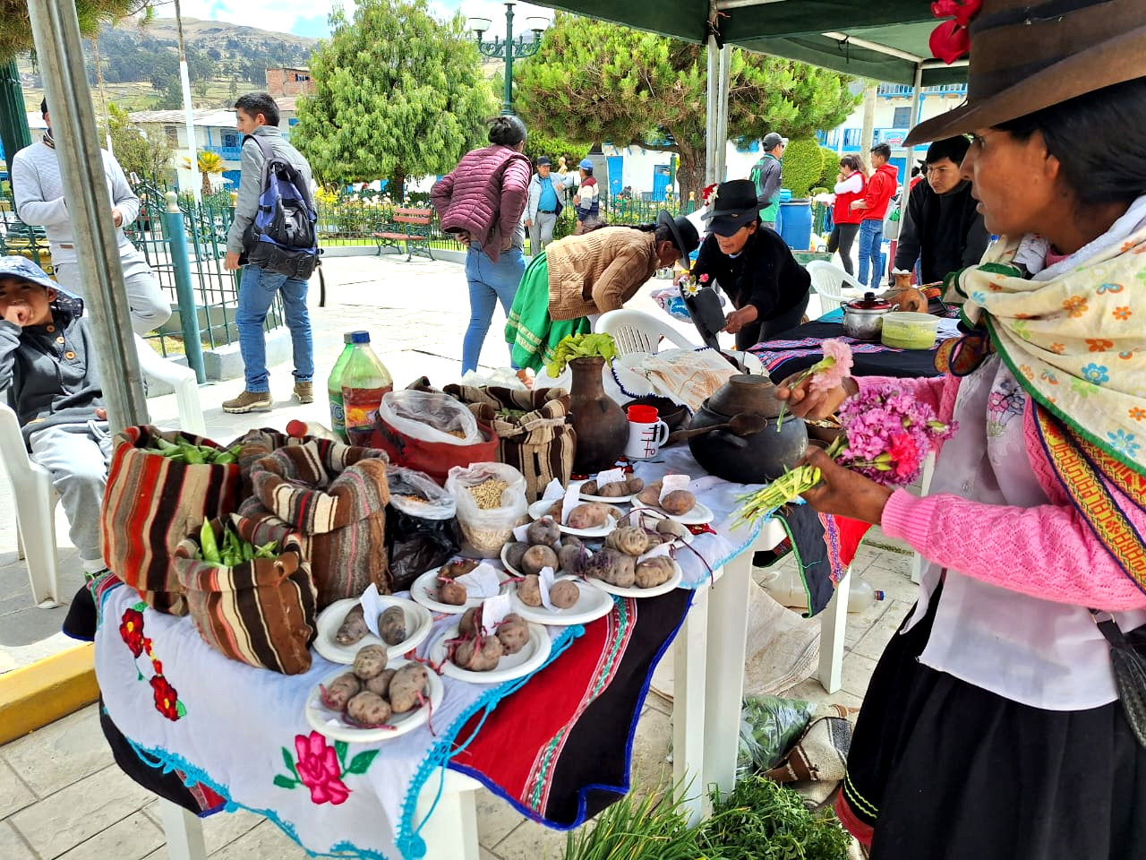 Éxito en la Feria Agroecológica Y Encuentro De Productores: impulso a la agricultura sostenible
