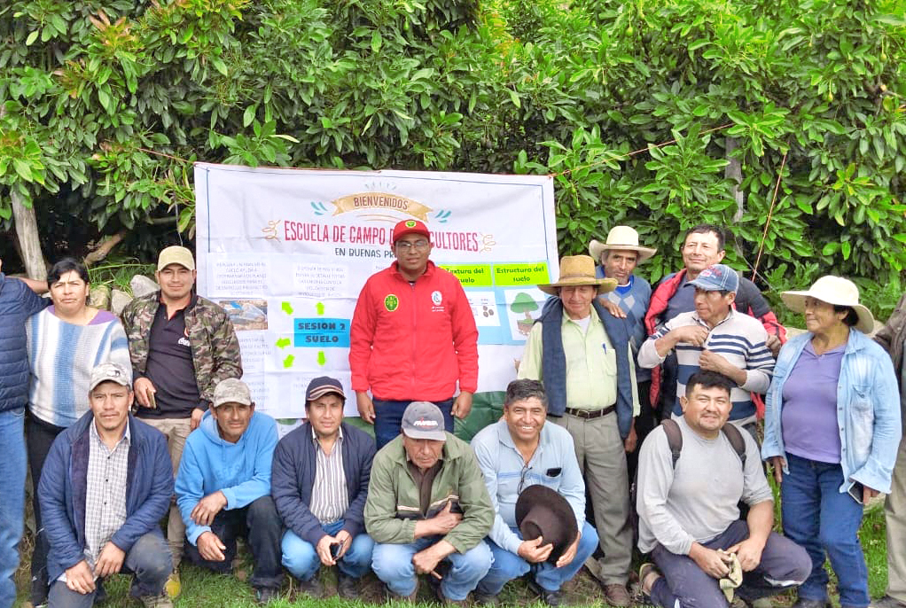 DRA Ayacucho promueve escuelas de campo para fortalecer la producción frutícola