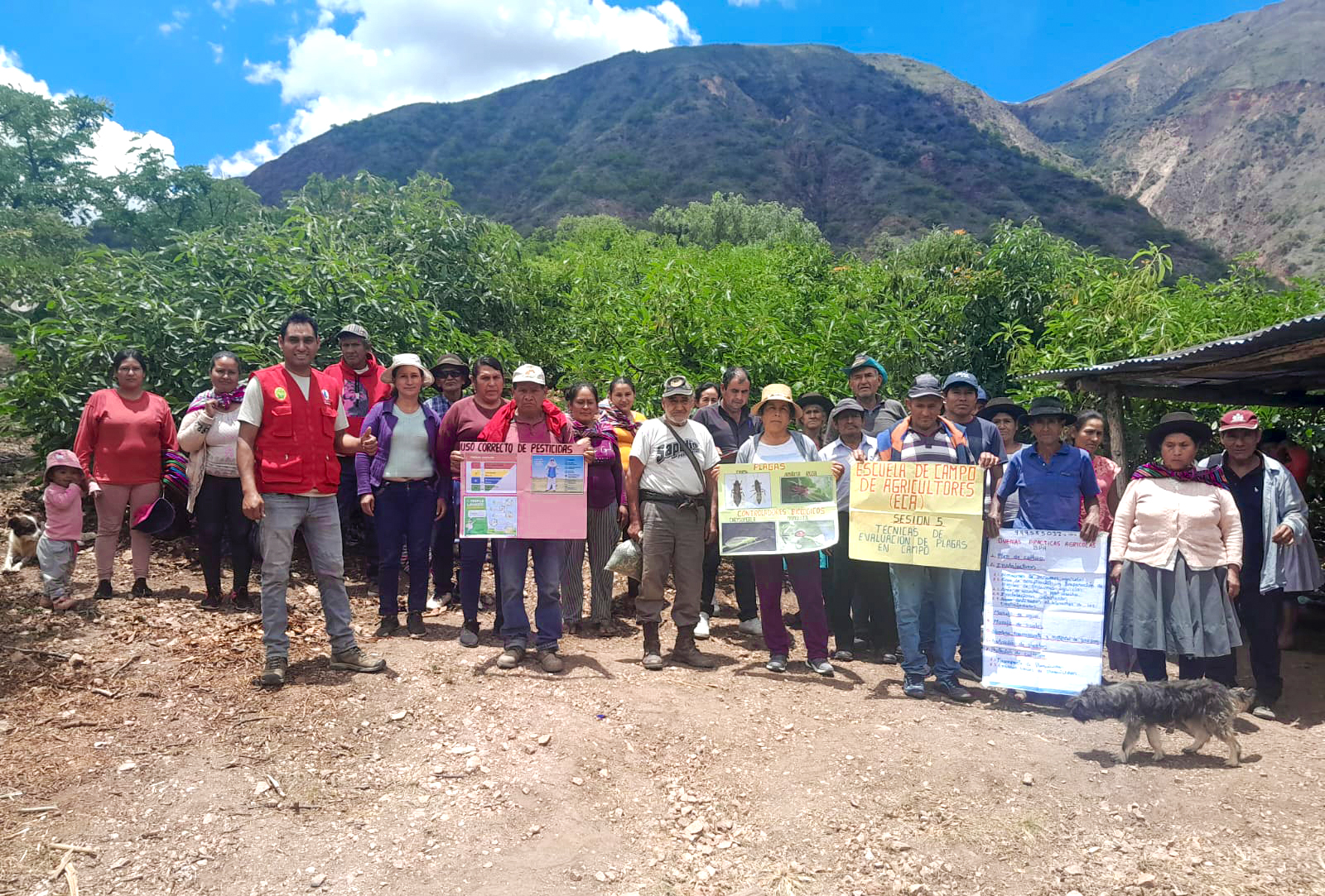 DRA Ayacucho promueve escuelas de campo para fortalecer la producción frutícola