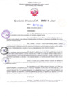 Vista preliminar de documento RD Nº000374 