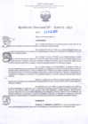 Vista preliminar de documento RD Nº000375
