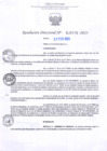 Vista preliminar de documento RD Nº000376 