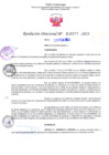 Vista preliminar de documento RD Nº000377 
