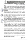 Vista preliminar de documento RAF N° 157-2023