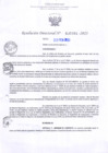 Vista preliminar de documento RD Nº000381
