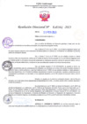 Vista preliminar de documento RD Nº000382 