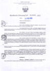 Vista preliminar de documento RD Nº000383 