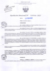 Vista preliminar de documento RD Nº000384