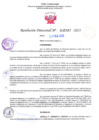 Vista preliminar de documento RD Nº000387 