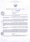 Vista preliminar de documento RD Nº000389 
