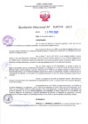 Vista preliminar de documento RD Nº000390
