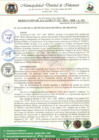 Vista preliminar de documento RESOLUCION DE ALCALDIA N°  123-2023-MDI-A-SG