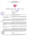 Vista preliminar de documento RD Nº000397