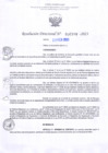 Vista preliminar de documento RD Nº000398 