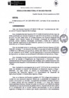 Vista preliminar de documento rd254-2023