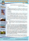 Vista preliminar de documento resolucion directoral n°241-2023