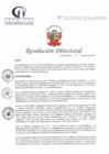 Vista preliminar de documento RD N° 213-10-2023-DE-HCLLH-MINSA