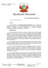 Vista preliminar de documento RD 294-2023