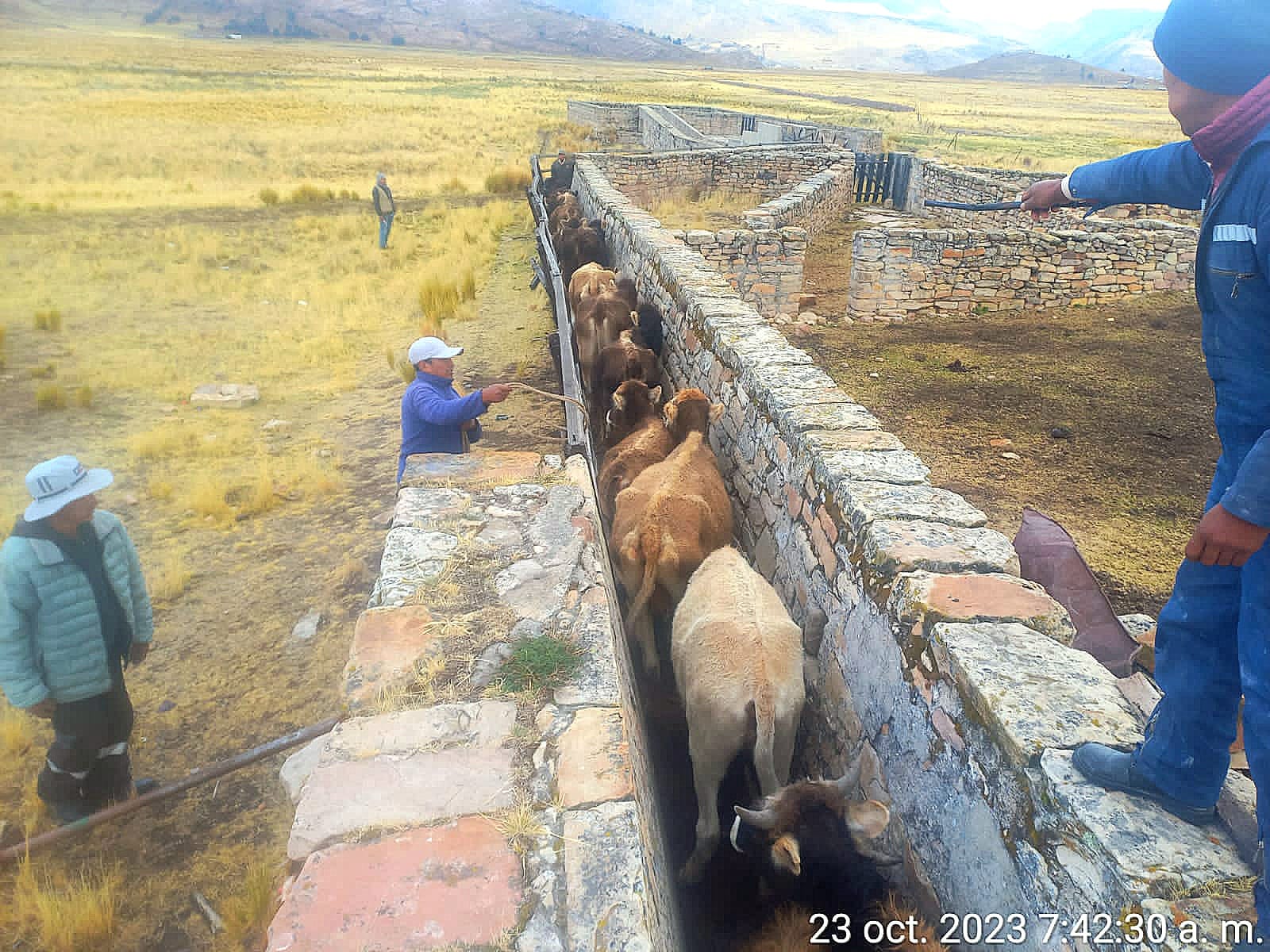 foto de trabajo