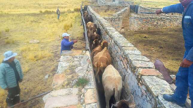 foto de trabajo
