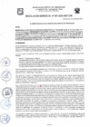 Vista preliminar de documento Resolución de Gerencia Nº0067-2023 -RG