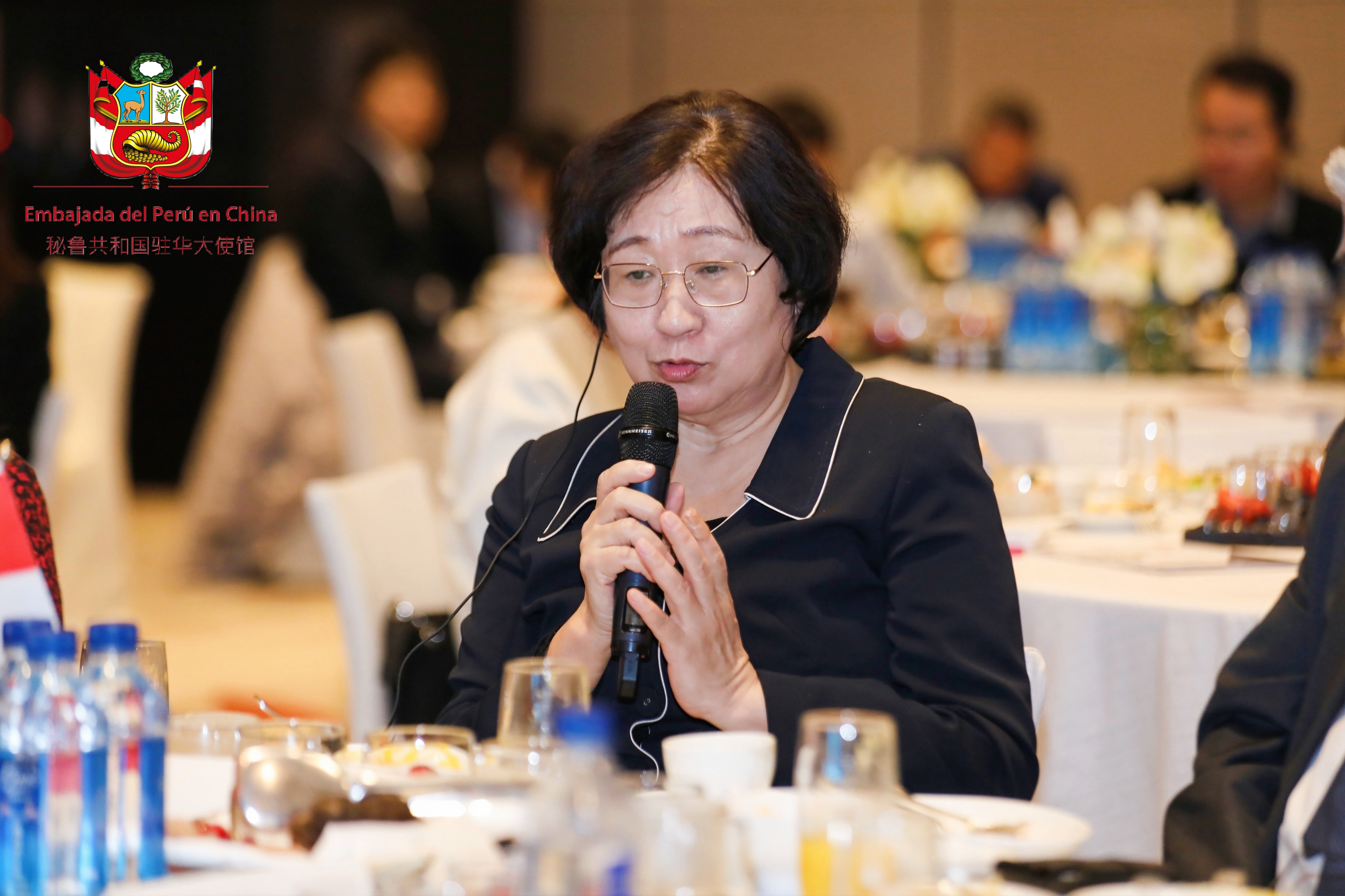 Embajada del Perú en China, PROINVERSIÓN y OCEX organizan roadshow de promoción de portafolio de proyectos