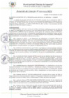 Vista preliminar de documento AC_133_2023_2023