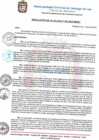 Vista preliminar de documento RESOLUCION DE ALCALDIA 202