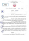 Vista preliminar de documento RD N 1077