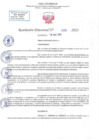 Vista preliminar de documento RD N 1078