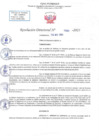 Vista preliminar de documento RD N 1080