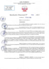Vista preliminar de documento RD N 1084