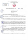Vista preliminar de documento RD N 1086