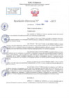 Vista preliminar de documento RD N 1088