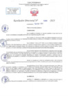 Vista preliminar de documento RD N 1089