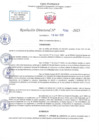 Vista preliminar de documento RD N 1090