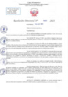 Vista preliminar de documento RD N 1093