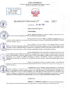 Vista preliminar de documento RD N 1099