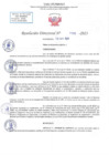 Vista preliminar de documento RD N 1100