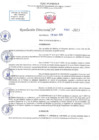 Vista preliminar de documento RD N 1101