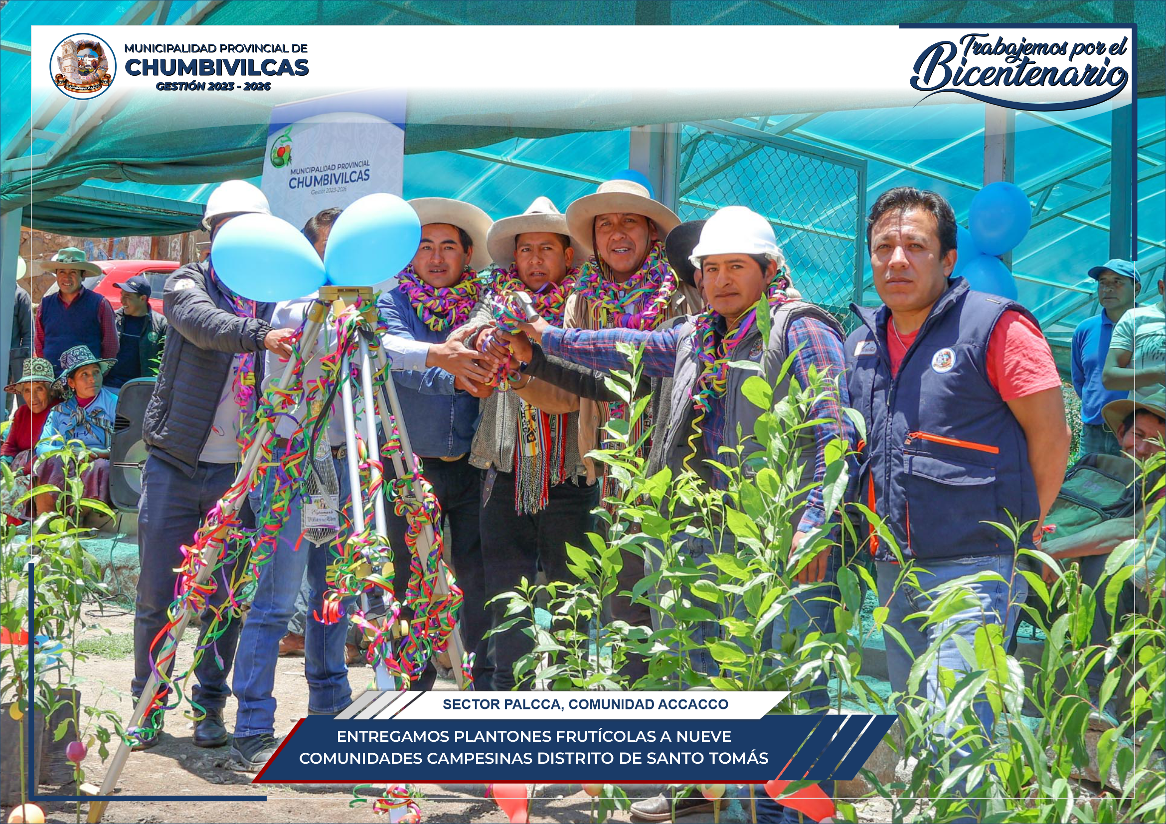Municipalidad de Chumbivilcas entrega plantones frutícolas a nueve comunidades del distrito de Santo Tomás