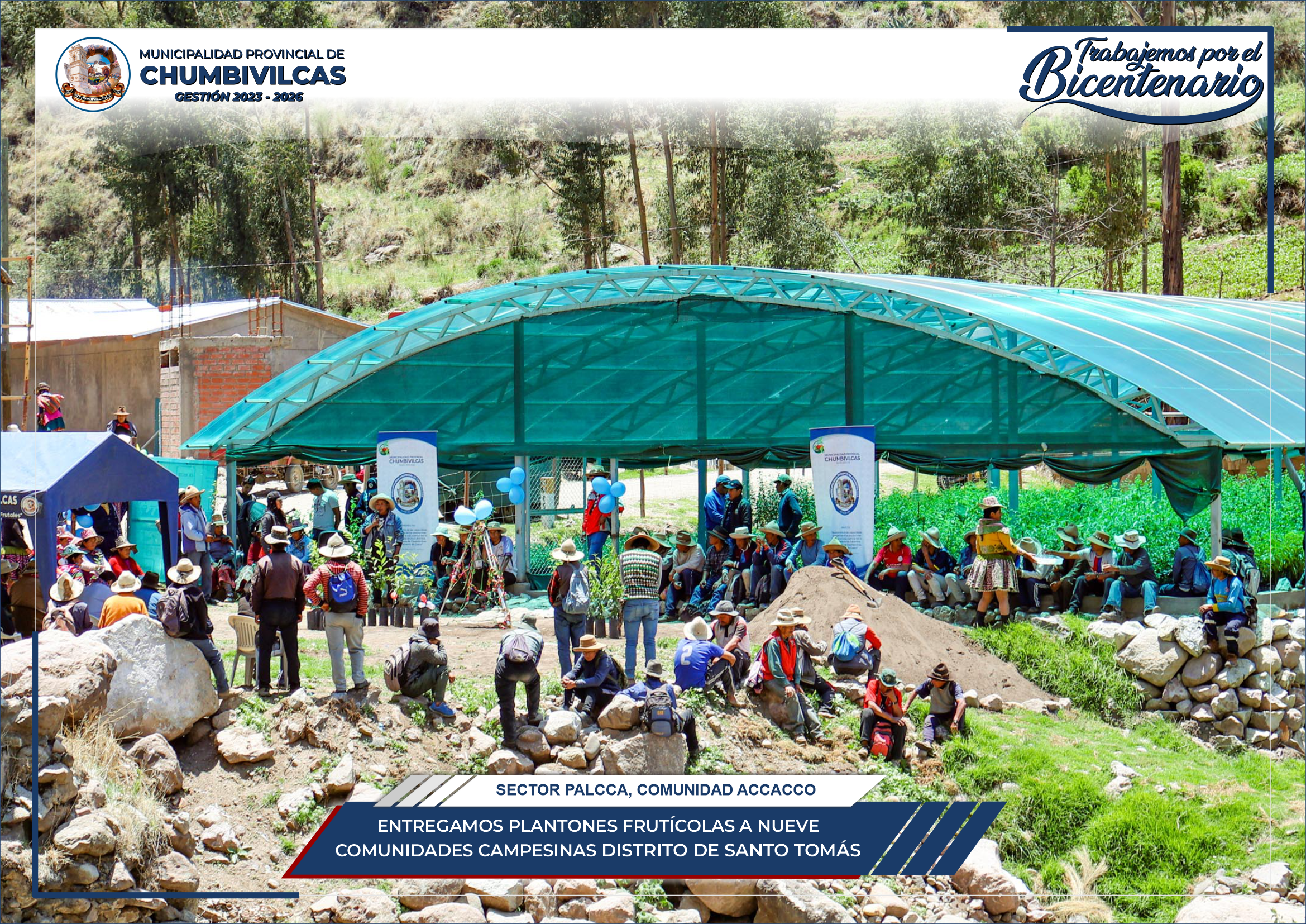 Municipalidad de Chumbivilcas entrega plantones frutícolas a nueve comunidades del distrito de Santo Tomás