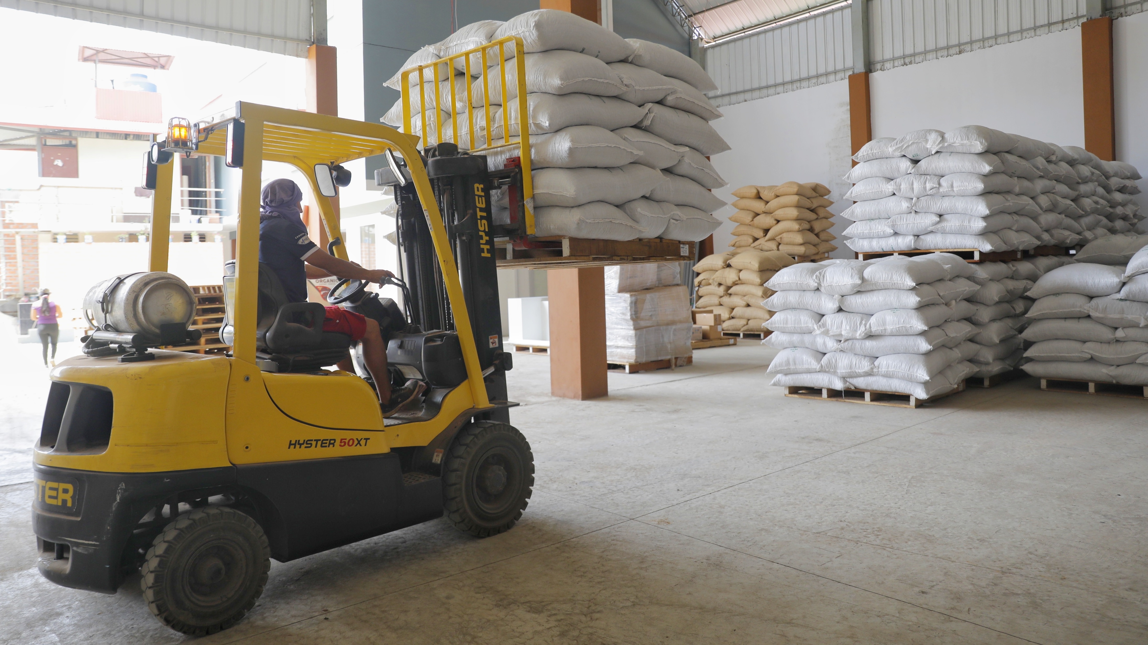 Vraem: Cooperativa Kemito Sankori logra su primera exportación al extranjero con 25 toneladas de cacao orgánico