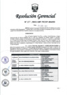 Vista preliminar de documento RESOLUCION N° 389-2023-PECHP