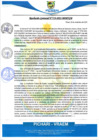 Vista preliminar de documento rgm519
