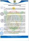 Vista preliminar de documento rgm531
