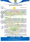 Vista preliminar de documento rgm538